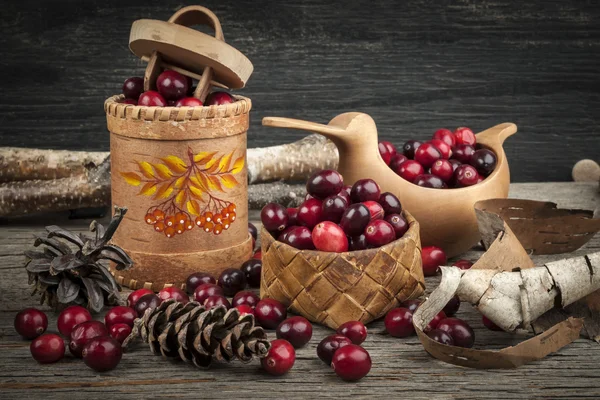 Fresh ripe cranberries in birch bark — Stock Photo, Image