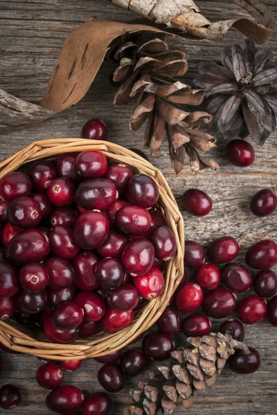 Cranberries frescas na cesta — Fotografia de Stock