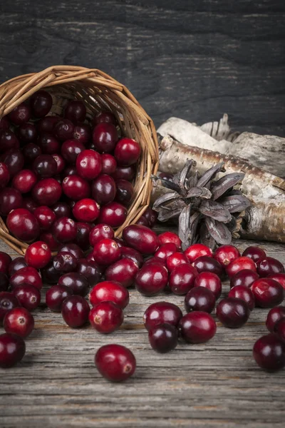 Cranberries derramando fora da cesta — Fotografia de Stock