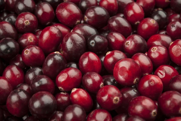 Ripe Cranberries background — Stock Photo, Image