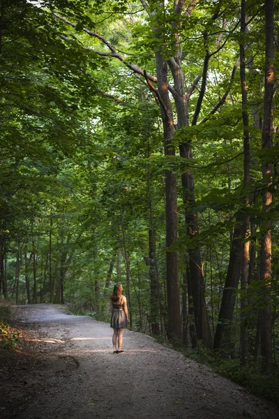 Woman standing on dark forest — Stock Photo, Image