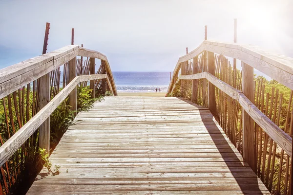 Chemin sur les dunes de sable — Photo