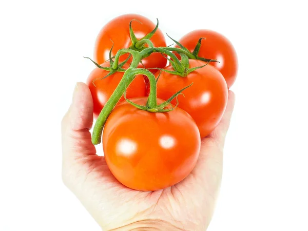 Person holding a bunch of tomatoes — Stock Photo, Image