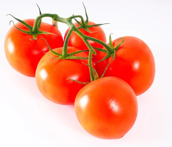 Pomidory w grupie, z zielony łodyga — Zdjęcie stockowe