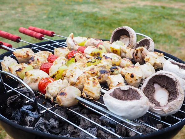 Barbecuing chicken, vegetables and champignon on spear over char — Stock Photo, Image