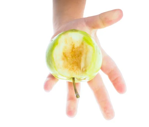 Lille barn hånd holder en umoden grønt æble mod hvid - Stock-foto