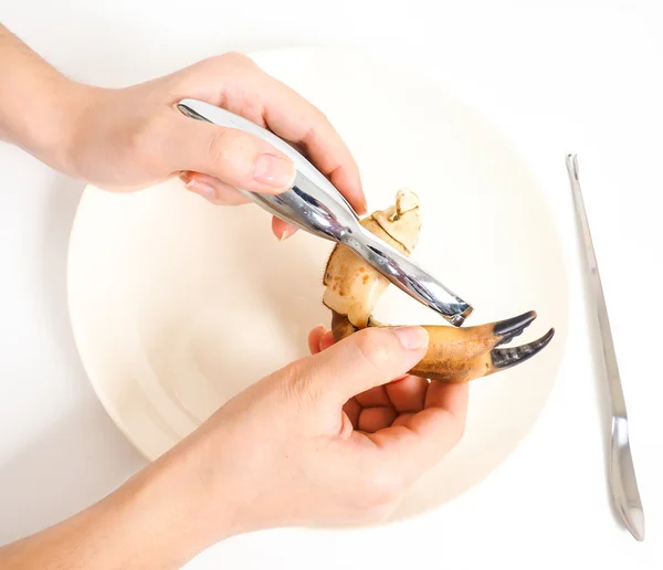 Female person eating crab claw over plate — Stock Photo, Image