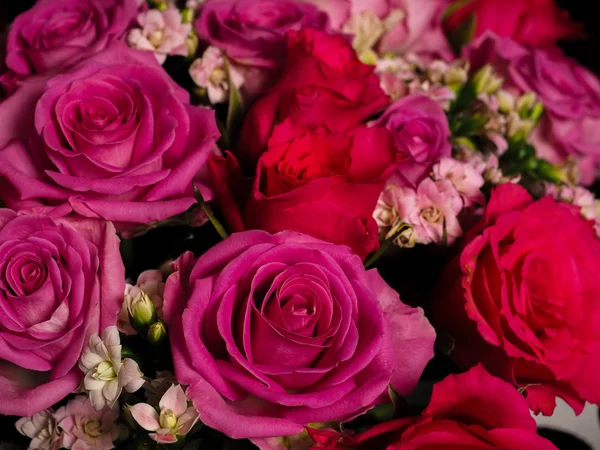 Bouquet of beautiful pink roses at closeup — Stock Photo, Image