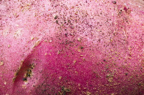 新鮮なジャガイモのテクスチャ — ストック写真