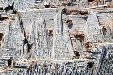 sert ahşap arka plan