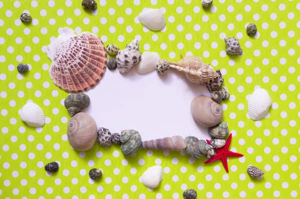 Frame with seashells — Stock Photo, Image