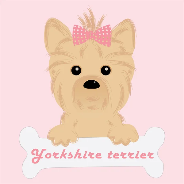 Cute puppy of yorkshire terrier — Stock Vector