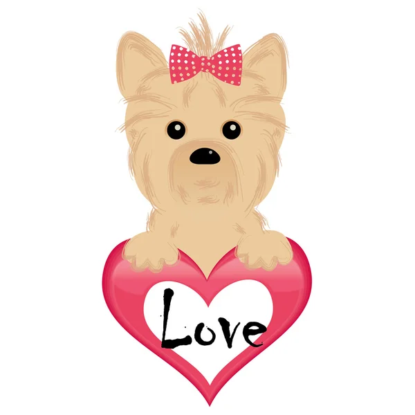 Cãozinho bonito de yorkshire terrier pendurar o coração —  Vetores de Stock