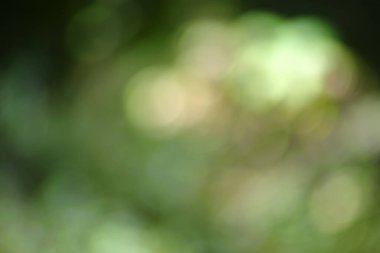 Doğal kutlama dekorasyonlarının renkli arkaplanı.                               