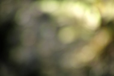 Doğal kutlama dekorasyonlarının renkli arkaplanı.                               