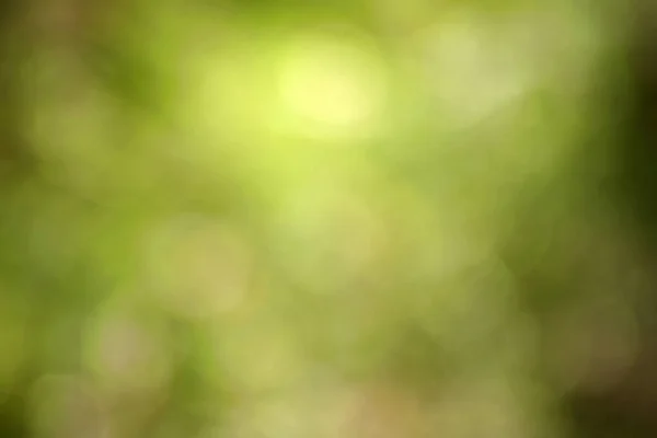 Вітражний Барвистий Фон Природних Святкових Прикрас — стокове фото