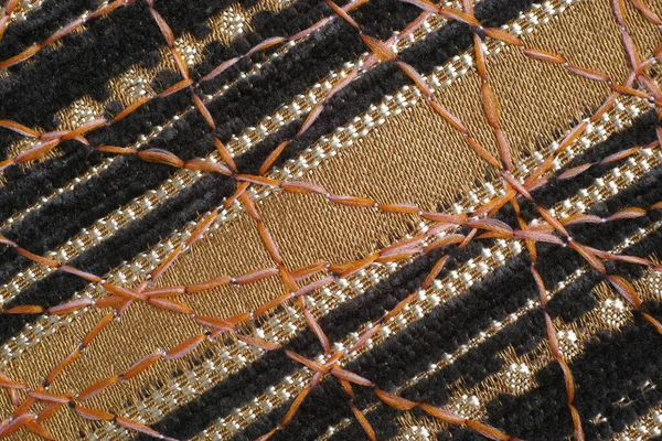 Dekor için yoğun mobilya kumaşları üzerine güzel bir süs olarak zig-zag dikiş.