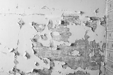 Şiddetli yağmur ve sel nedeniyle dairenin hasar gören tavanı.