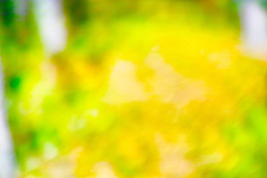 Parlak doymuş, soyut doğal bir zemin. Yumuşak mercek parlatıcı etkisi var. 60 megapiksel büyüklüğünde bir seri fotoğraf.