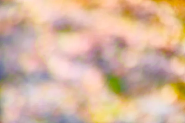 Jaskrawo Nasycone Abstrakcyjne Naturalne Tło Miękkim Efektem Rozbłysku Soczewki Seria — Zdjęcie stockowe