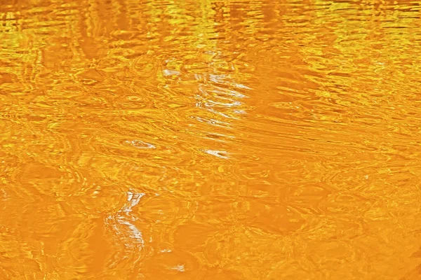 Eau Jaune Coucher Soleil Automne — Photo