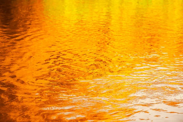秋の日没時の黄色の水 — ストック写真