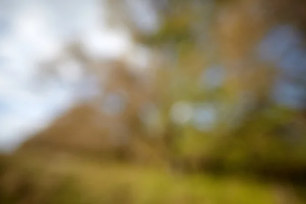 Abstrakte Natur Hintergrund natürliche Unschärfe — Stockfoto