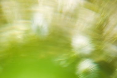 arka plan parlak doğal rengini görüntü stili