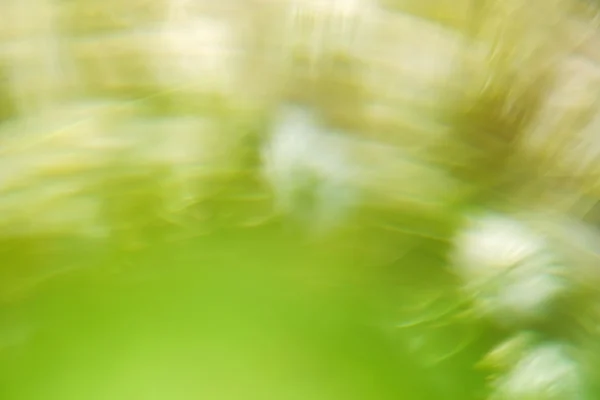 Heldere natuurlijke kleur voor de achtergrond vervagen stijl — Stockfoto