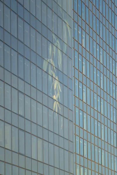 Höga glas nybygget — Stockfoto