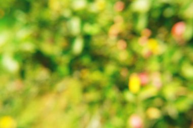 Yumuşak soyut doğa