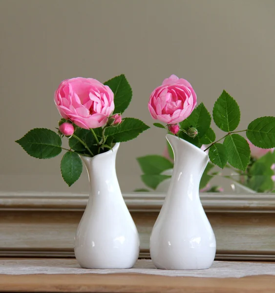 Makroklimatische Rosen — Stockfoto