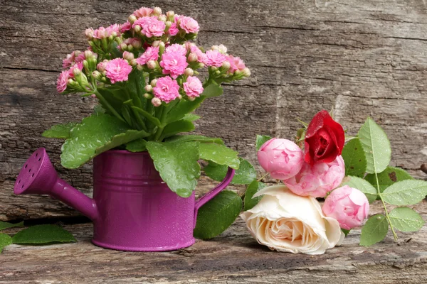 Flower power on wooden background — Stock Photo, Image