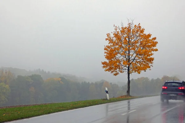 Nasse Autostraße Herbst — Stockfoto