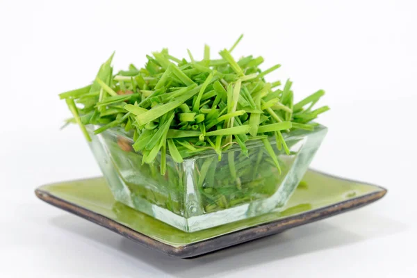 Cultivation Cut Wheatgrass — Stock Photo, Image