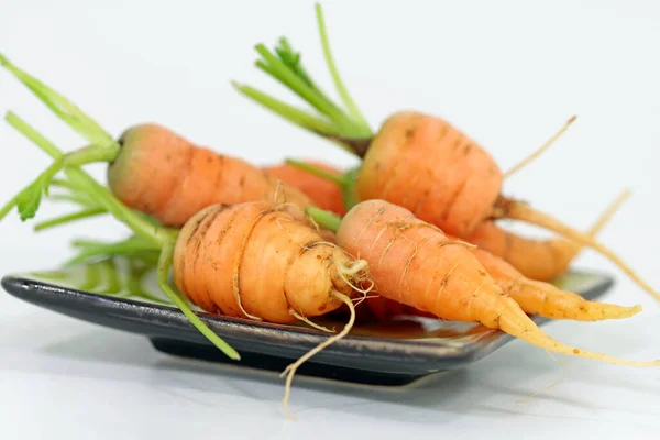 Zanahorias Muy Finas Verde — Foto de Stock