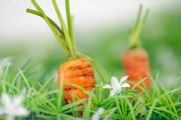 Zanahorias Muy Finas Verde —  Fotos de Stock