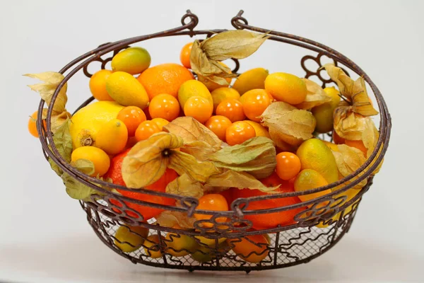 Citrus Fruits Antique Metal Basket — Stock Photo, Image