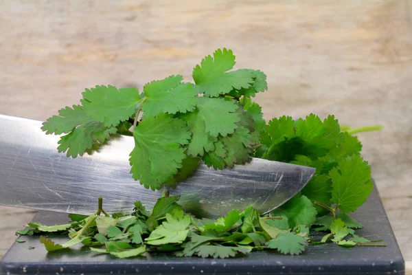 Corte Hojas Frescas Cilantro — Foto de Stock