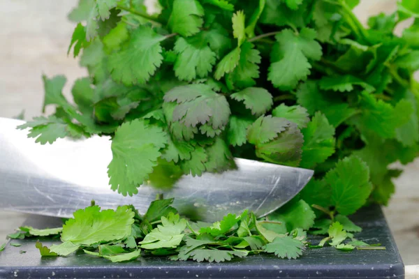 cutting from fresh coriander leaves