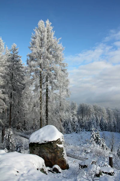 Zimní Dojmy Kolem Věže Harrow Velmerstotu Stříbrného Údolí Řeky — Stock fotografie