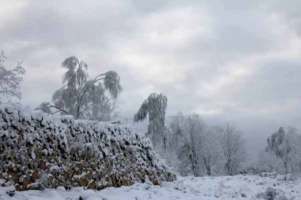 银江流域附近的海燕城堡周围的冬季印象 — 图库照片