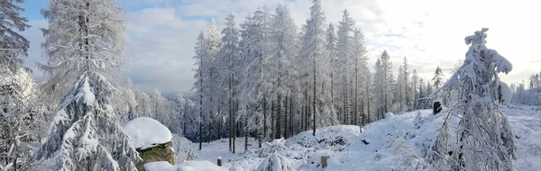 Impressioni Invernali Intorno Alla Torre Dell Erpice Presso Velmerstot Vicino — Foto Stock