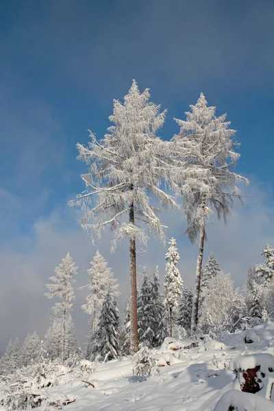 Winter Impressions Harrow Tower Velmerstot Silver River Valley — Stock Photo, Image