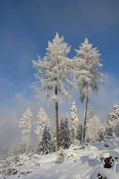 Impresiones Invierno Alrededor Torre Grada Velmerstot Cerca Del Valle Del —  Fotos de Stock