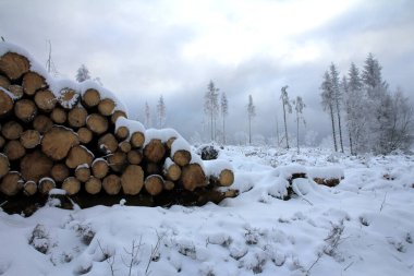 Velmerstot 'taki kulenin etrafında kış izleri var. 