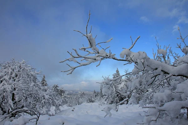 在天鹅绒塔上的冬日印象 — 图库照片