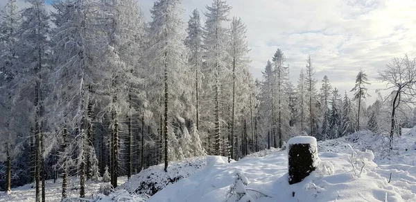 Zimní Dojmy Kolem Věže Velmerstotu — Stock fotografie