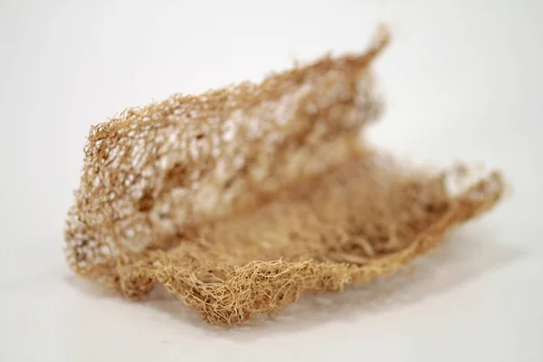 Verzorging Hygiëne Artikelen Uit Hele Wereld Miswak Borstel Loofah Komkommer — Stockfoto