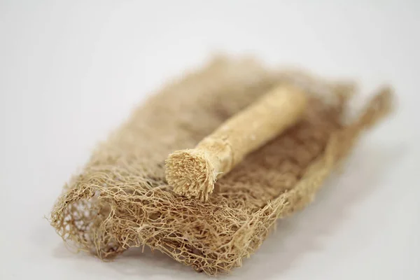 Verzorging Hygiëne Artikelen Uit Hele Wereld Miswak Borstel Loofah Komkommer — Stockfoto